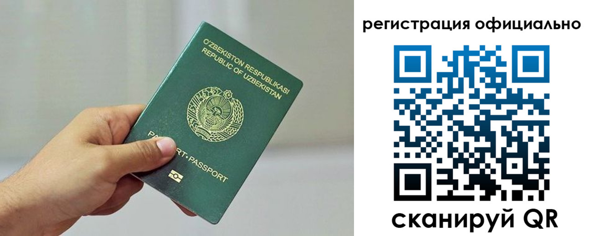 прописка в квартире в Богучаре